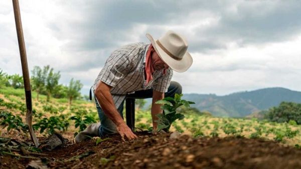 El Gobierno colombiano entregará más de 680.000 hectáreas a campesinos e indígenas