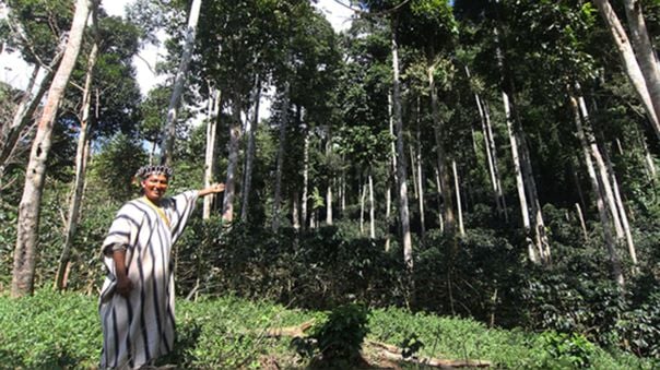 Estudio internacional solicita incluir la sabiduría de los pueblos indígenas en las políticas climáticas