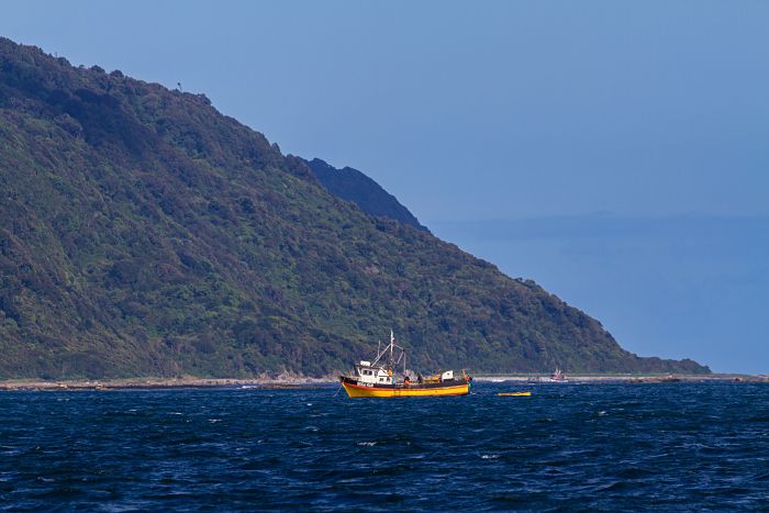 Director de Conadi visitó a comunidades mapuche williche que solicitaron Espacio Costero Marino de Pueblos Originarios en Isla Guafo