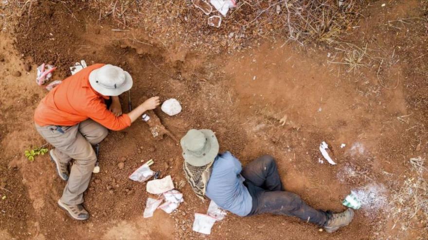 Hallan en Zimbabue al dinosaurio más antiguo de África