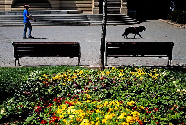 Depresión estacional: Cómo sortear los efectos anímicos de la primavera