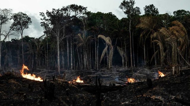 Incendios en la Amazonía brasileña alcanzaron su punto más alto en una década