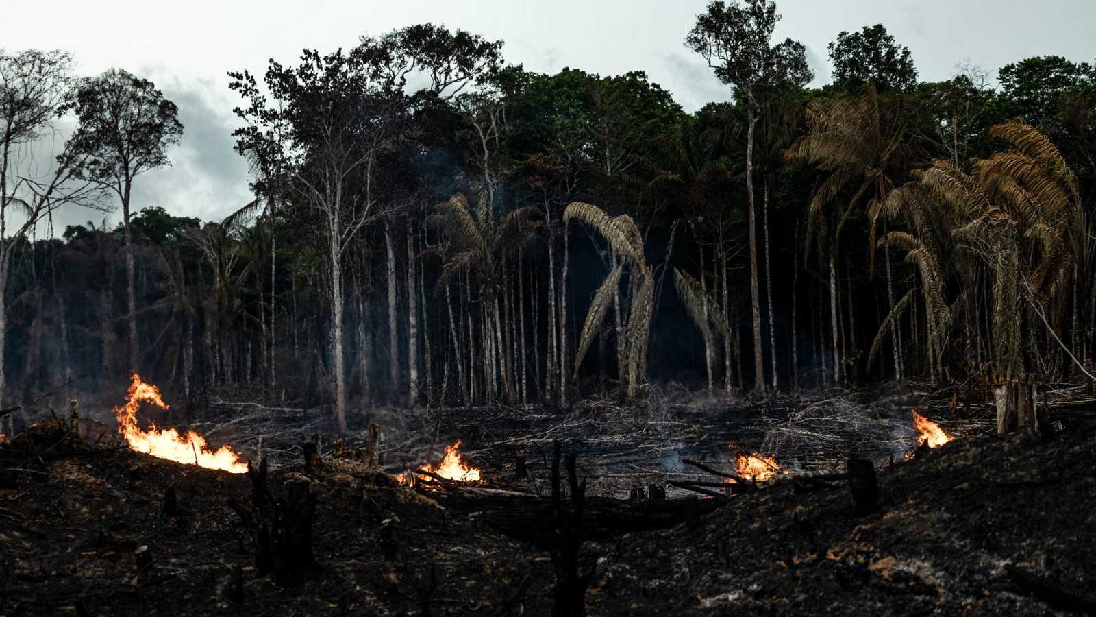 Incendios en la Amazonía brasileña alcanzaron su punto más alto en una década