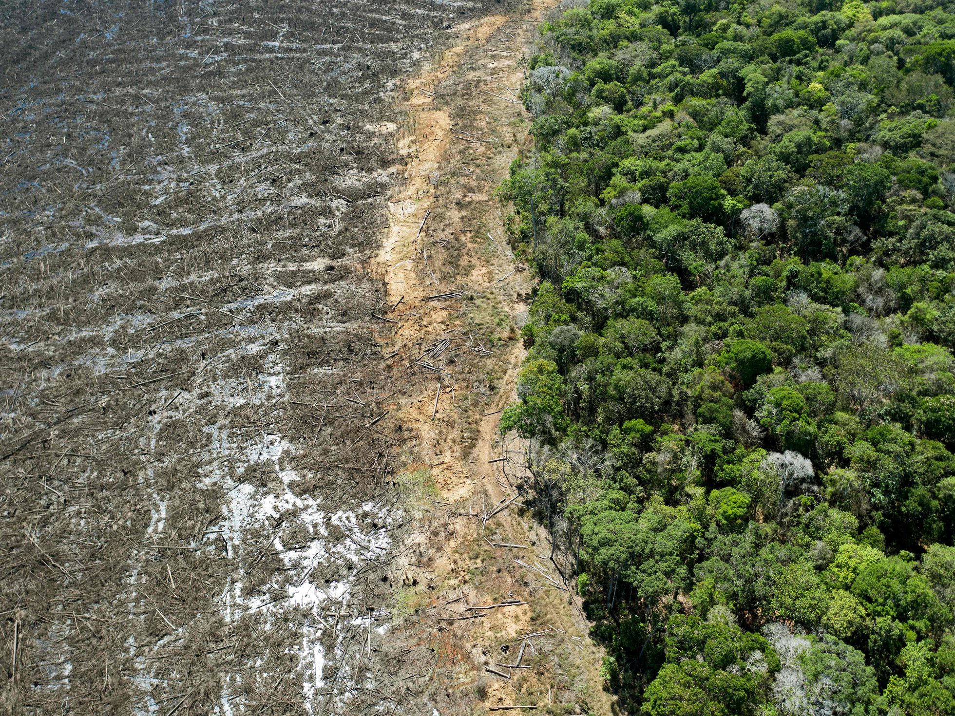 Zonas de la Amazonía llegan a un punto de inflexión donde jamás podrán recuperarse