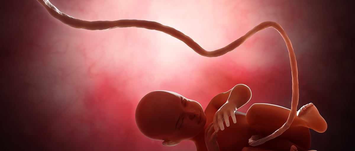 Detectan sustancias químicas tóxicas en cordón umbilical de bebés estudiados