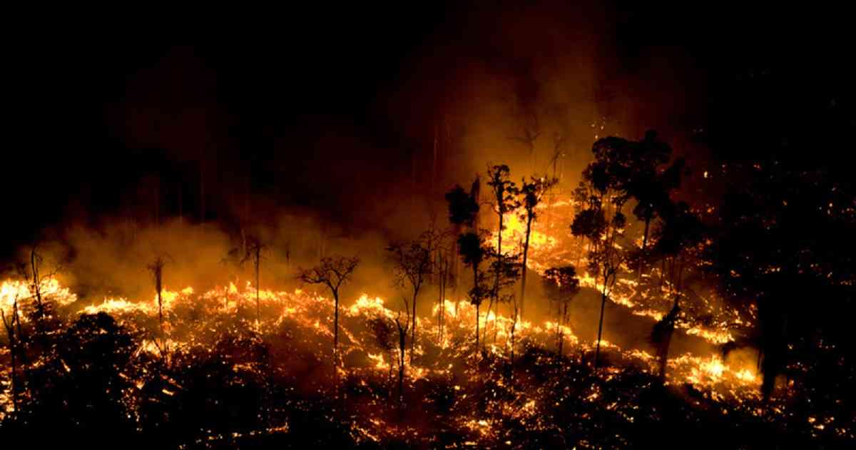 Amazonía brasileña registra en agosto los peores incendios de los últimos 12 años