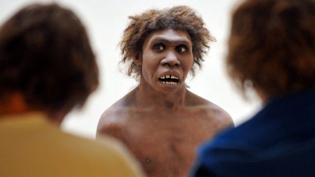 Nuevo estudio revela las diferencias cognitivas entre los neandertales y los humanos modernos