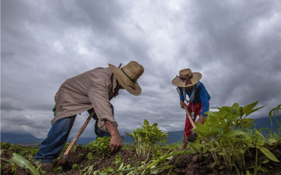 Economía mexicana crecerá 1.36% a 2023: analistas privados