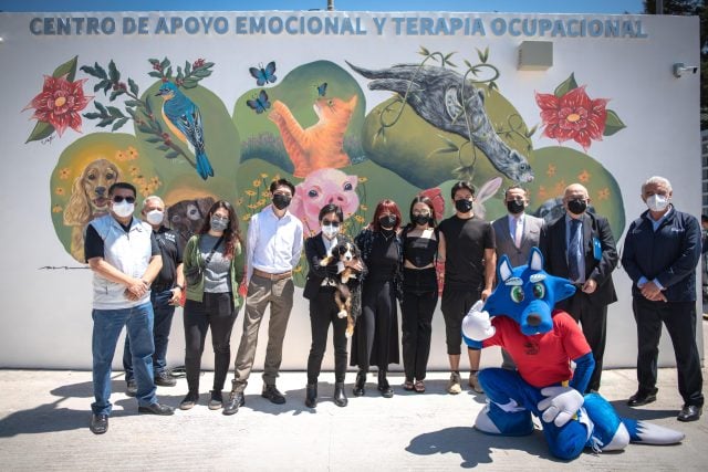 BUAP atenderá emociones de estudiantes con ayuda de animales