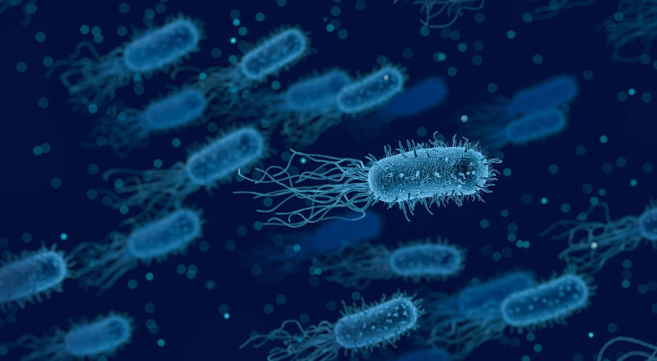 Descubren que las bacterias «muertas» pueden identificar señales y volver a la vida