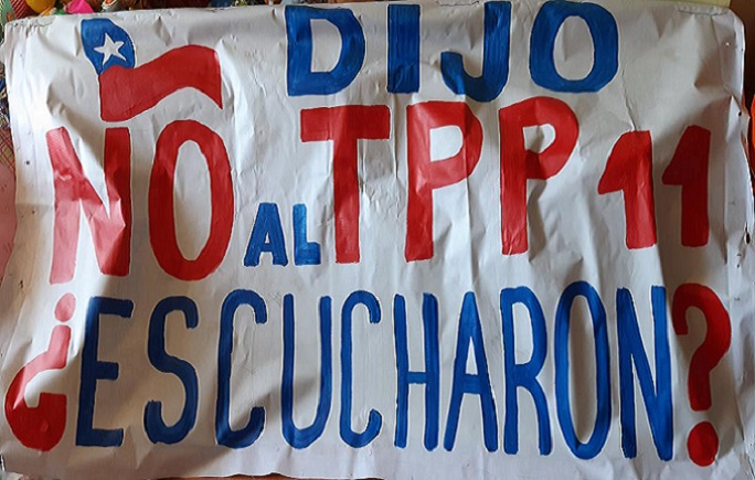 TPP11 al Tribunal Constitucional gracias a Senador Bianchi, 42 diputados y presión ciudadana