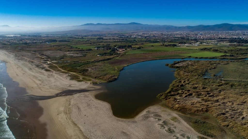 Dueños de predios pretenden revertir la declaración de humedal del Río Elqui