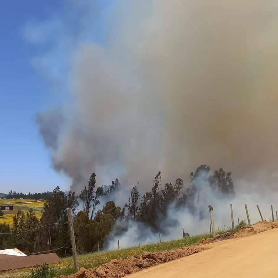 Declararon Alerta Roja en la comuna de Paredones por incendio forestal que amenazaba viviendas