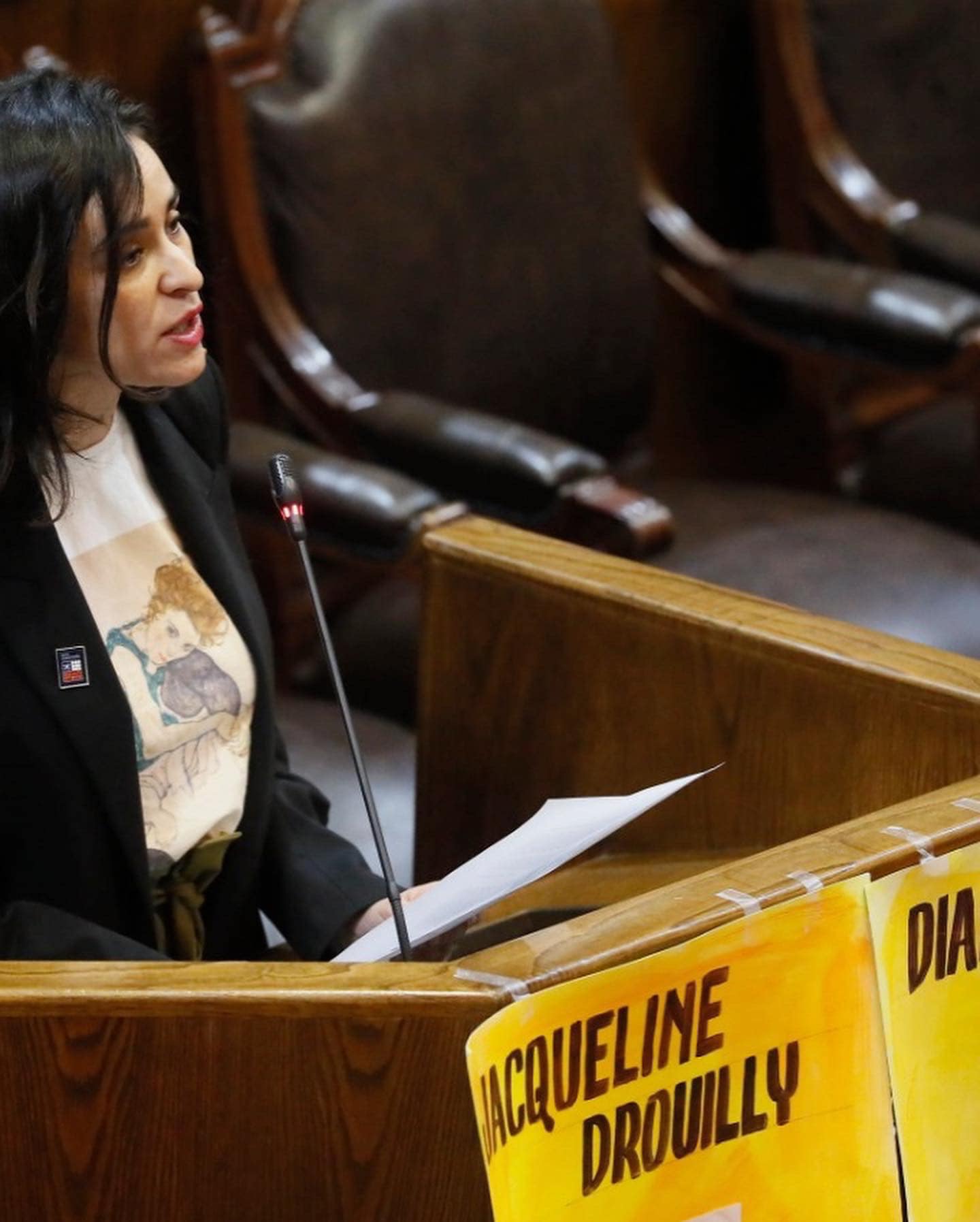 Diputada Javiera Morales por retiro de proyecto de Hidrógeno Verde en Magallanes: «acá no hubo portazo, sino un requerimiento de mayor información»