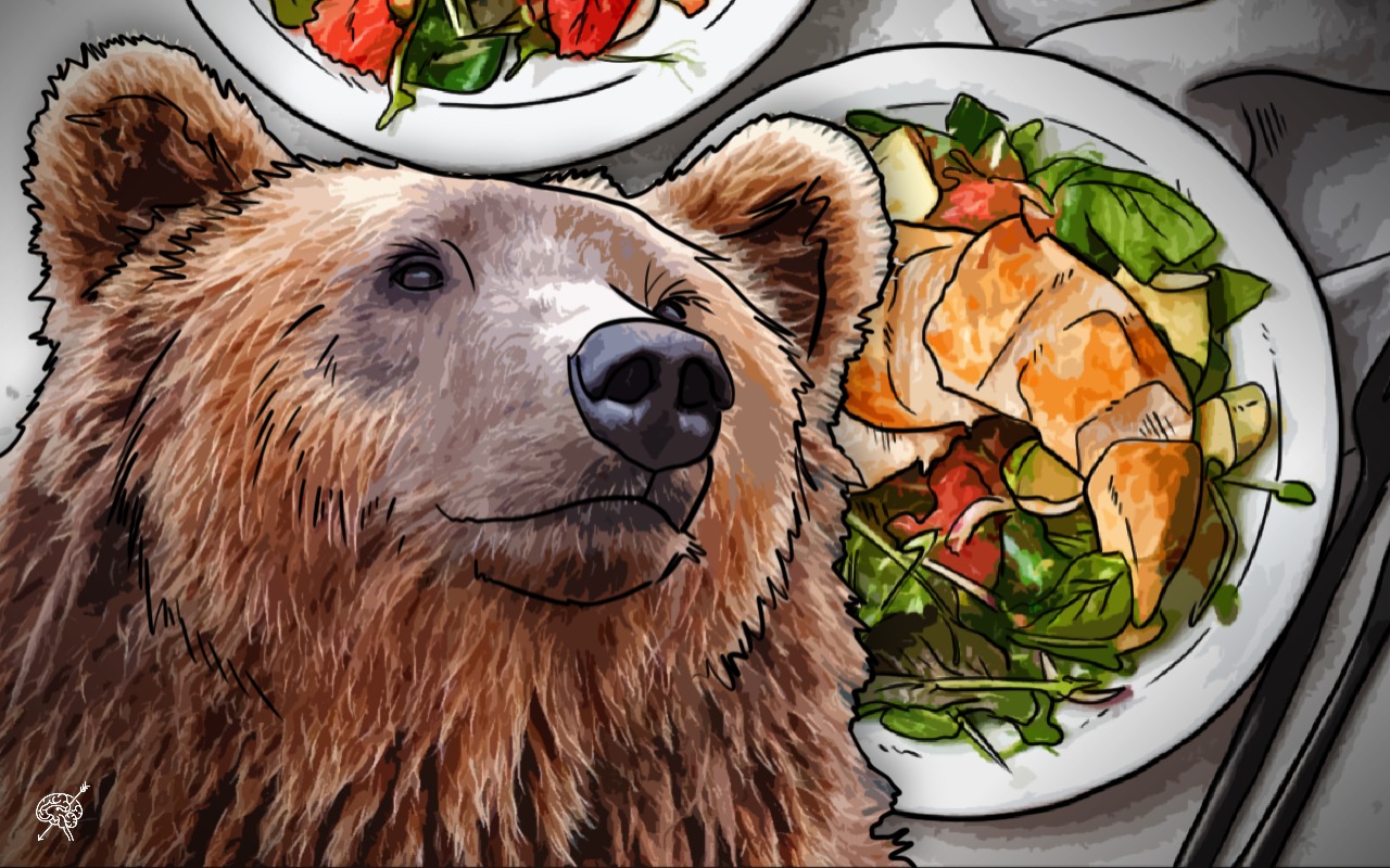 Confirmado: los osos no son carnívoros, prefieren una dieta balanceada