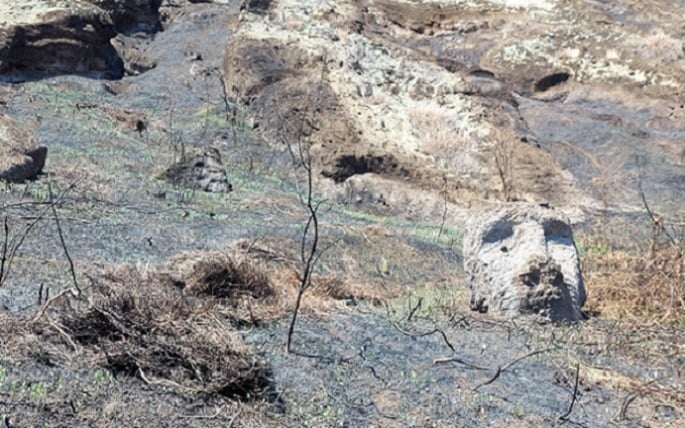 UNESCO apoyará medidas de mitigación tras el incendio que afectó a moais en Rapa Nui