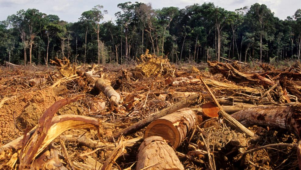 Urgen 10 organizaciones de Bolivia y Perú a proteger la Amazonía