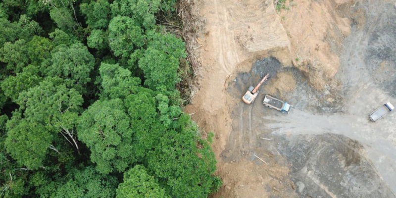 Erradicar la deforestación para 2030 será un fracaso si no se toman acciones urgentes