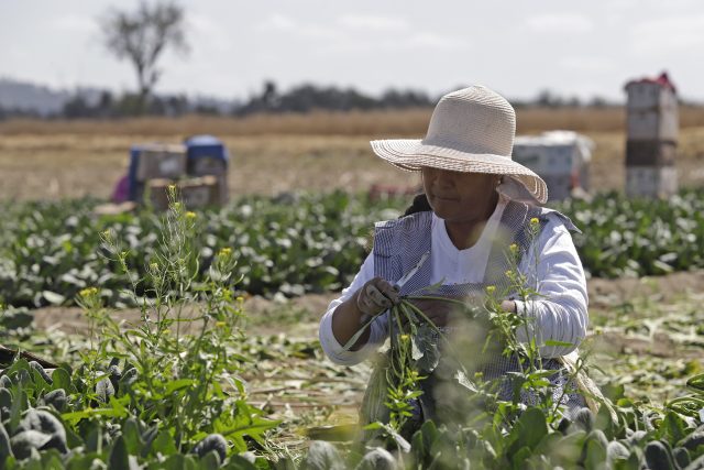 Aumentará mil mdp inversión para el campo poblano en 2023