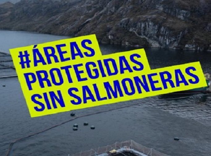 Día de las áreas protegidas: Requieren urgente que Ministerio del Medio Ambiente intervenga ante concesiones ilegales salmoneras
