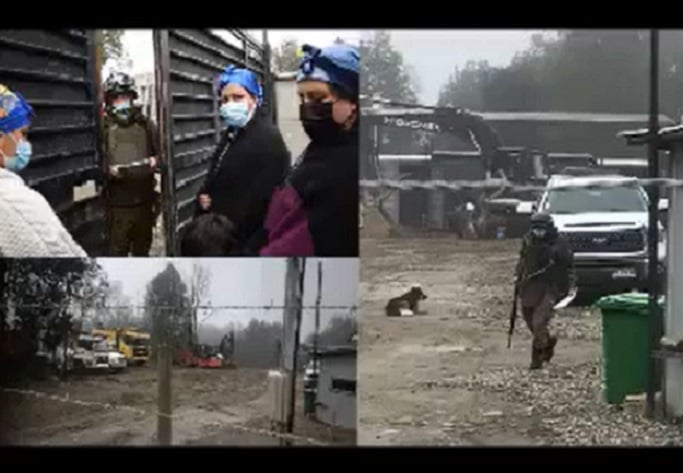 Conflicto Forestal Arauco (Angelini): Machi denuncia represión policial en territorio del wadalafken