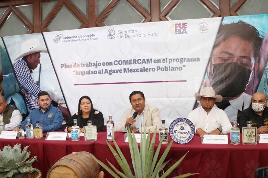 Desarrollo Rural presenta programa «Impulso al Agave Mezcalero Poblano»