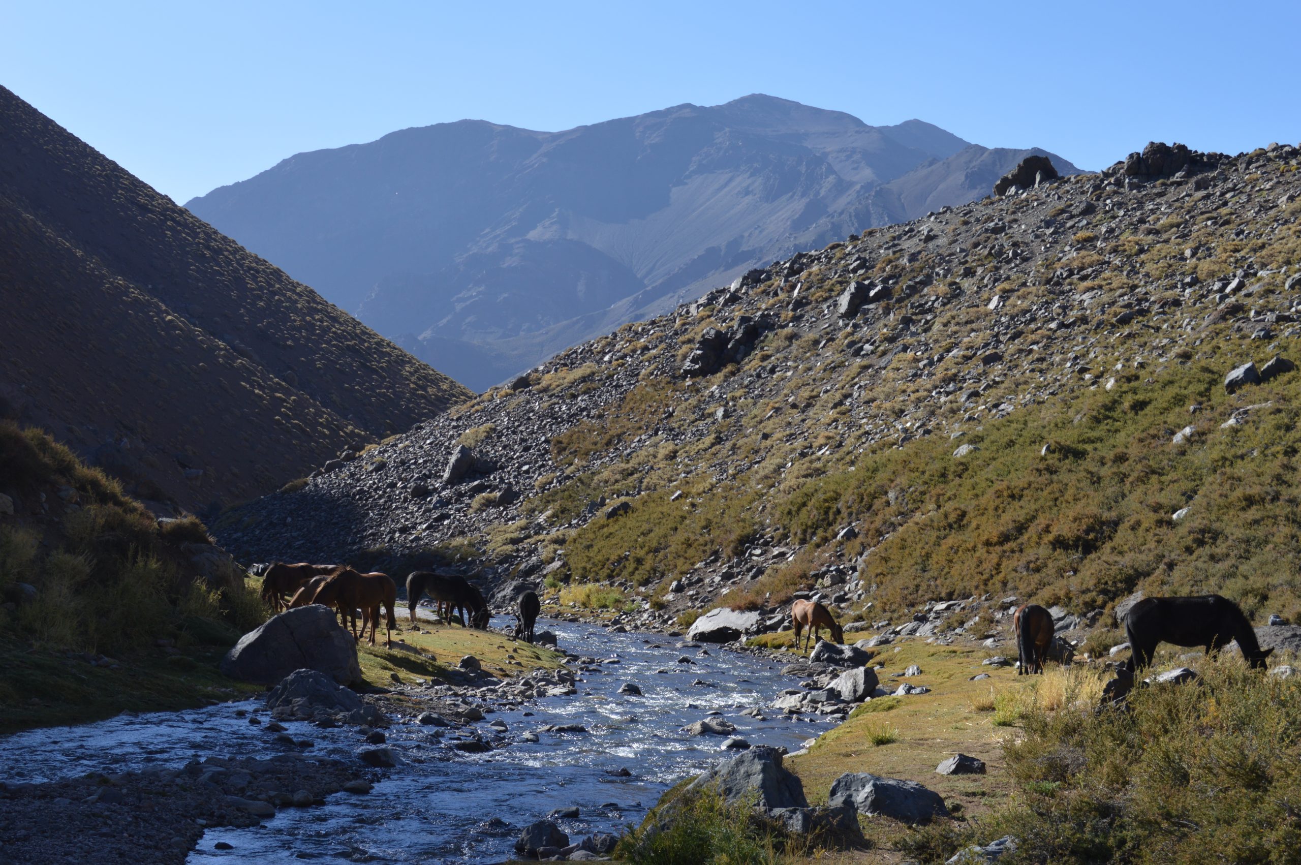 Ministra de Medioambiente se comprometió con declaración de Santuario de la Naturaleza para sectores cordilleranos del valle de Aconcagua