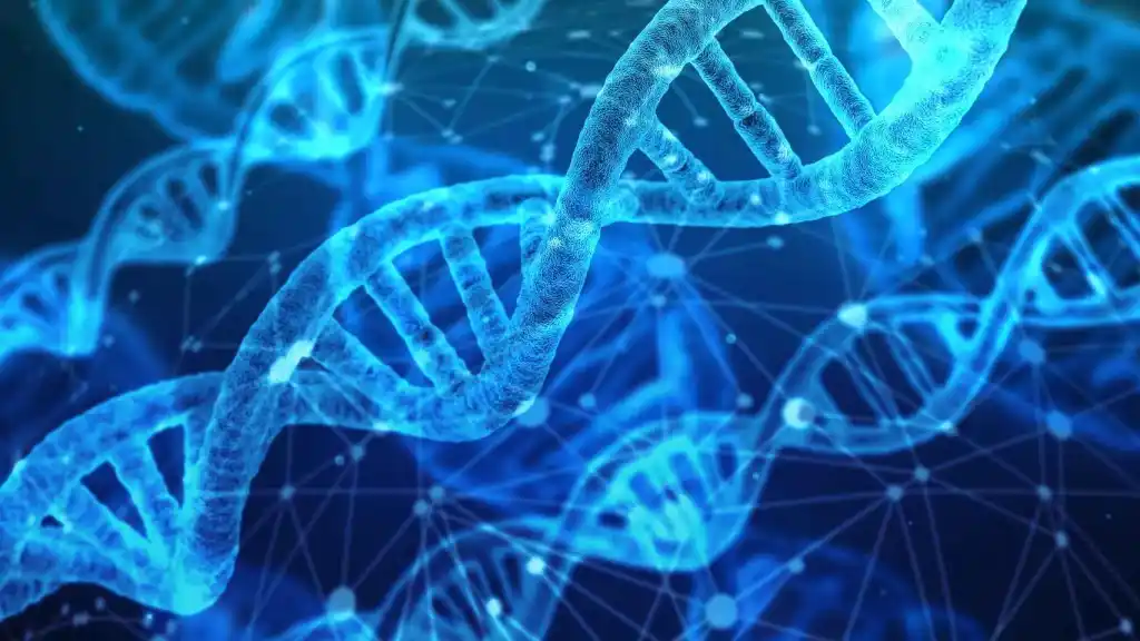 Genoma-ADN