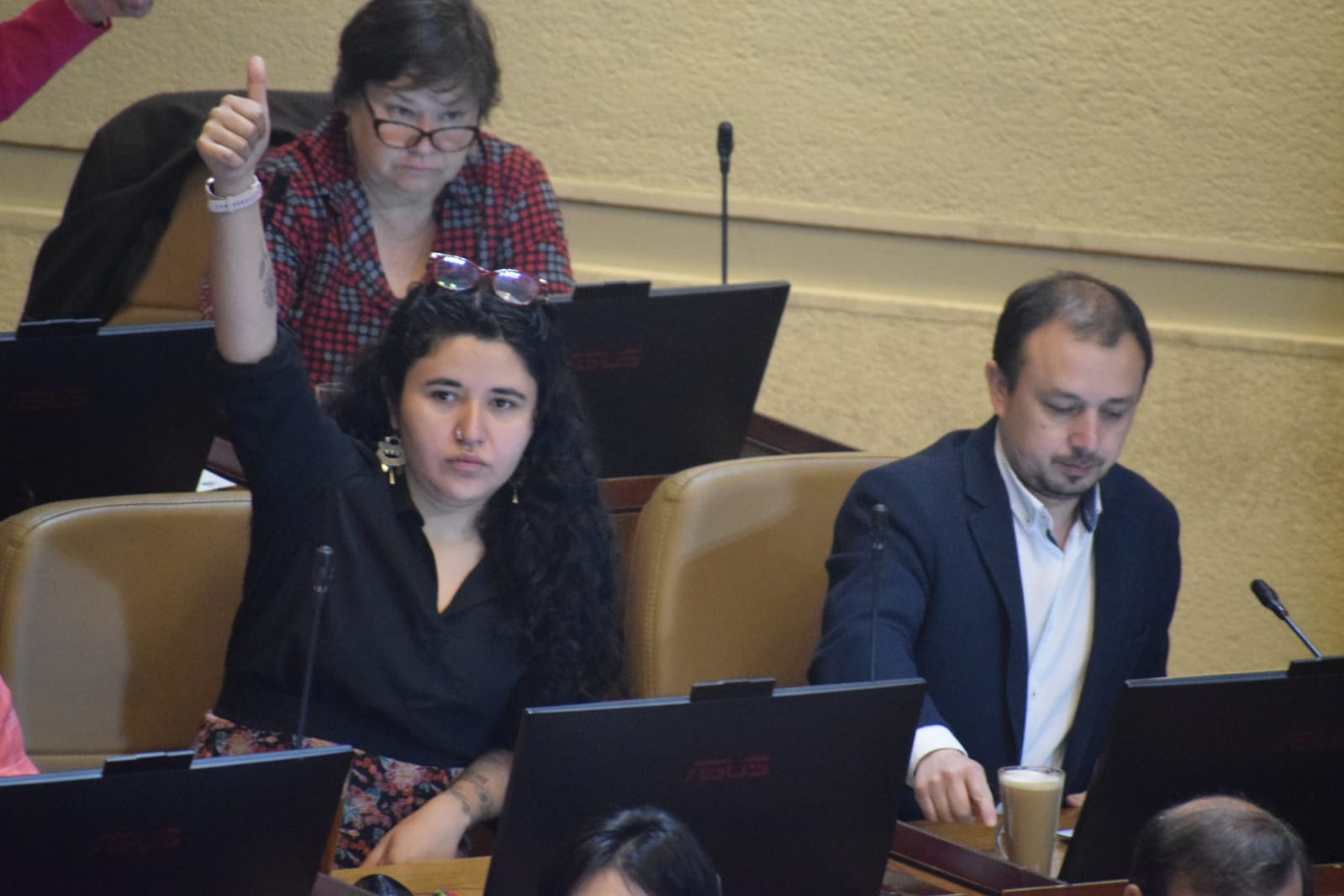 Diputados oficiarán a Contraloría por ordenanza de toque de queda juvenil en Zapallar