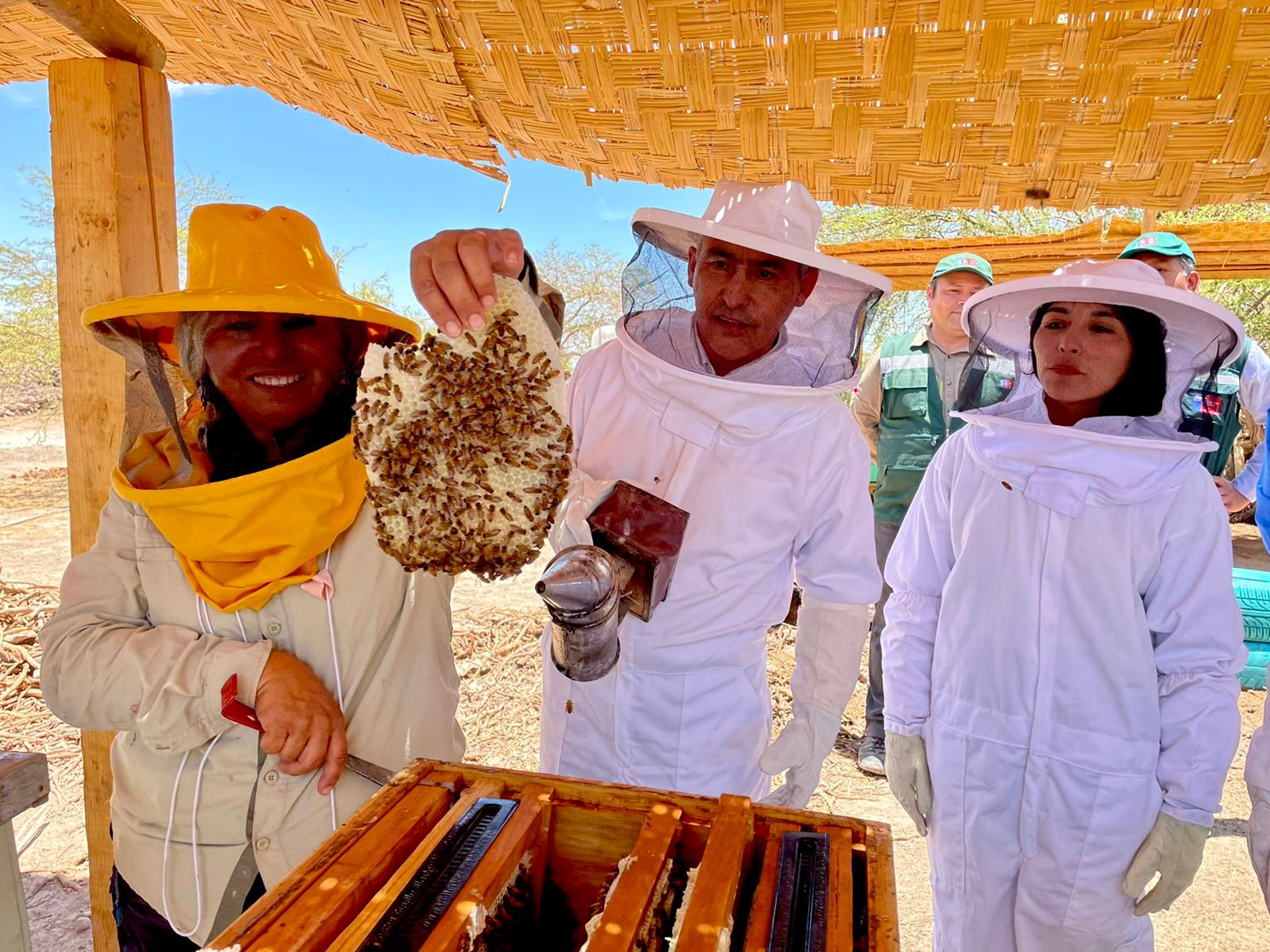 Apicultora produce miel en el desierto más árido del mundo, en plena Pampa del Tamarugal