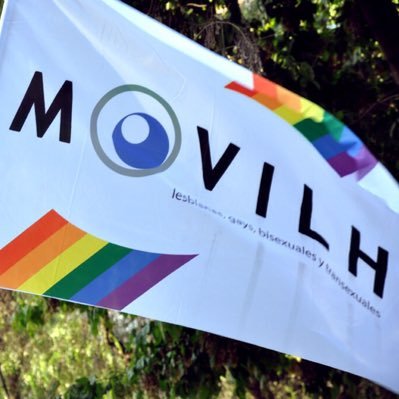 Movilh llama a reformar la Ley Zamudio tras aumento de crímenes homofóbicos y transfóbicos