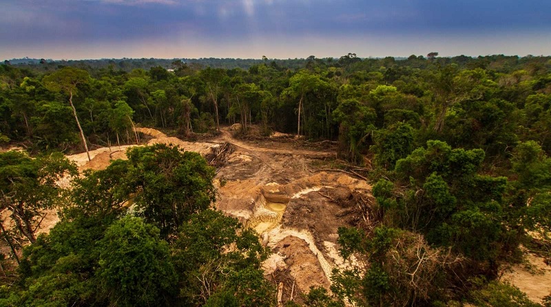 Pueblos de la Amazonia brasileña critican el mercantilismo en el medioambiente