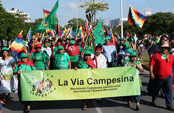COP 27: Llamado a la Acción de La Vía Campesina para la 27° cumbre climática de la ONU