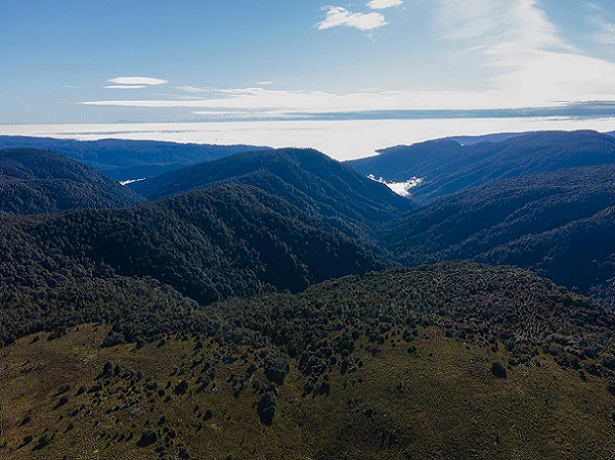 Alerta en Chiloé por nuevo mega proyecto eólico: Cordillera del Piuchén bajo amenaza