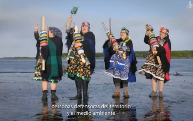 Ante la crisis climática global, ¡Soluciones Vivas!