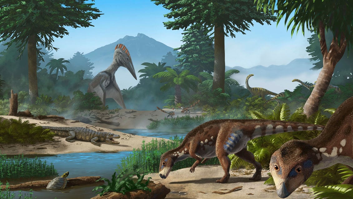 Dinosaurio enano: Descubren una nueva especie de dinosaurio que habitó en Transilvania