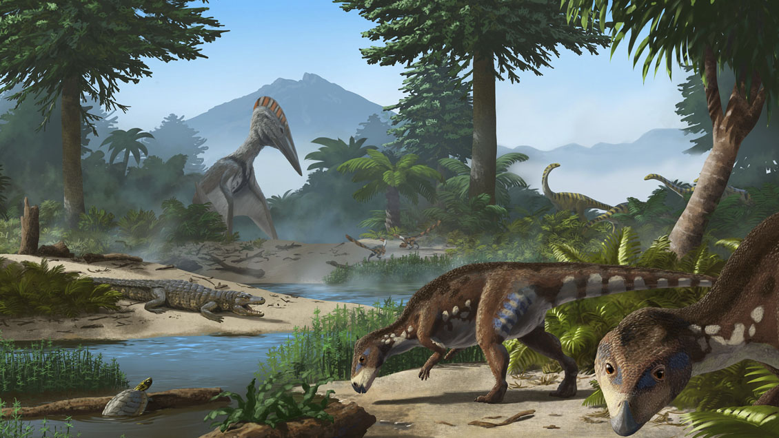 Dinosaurio enano: Descubren una nueva especie de dinosaurio que habitó en Transilvania