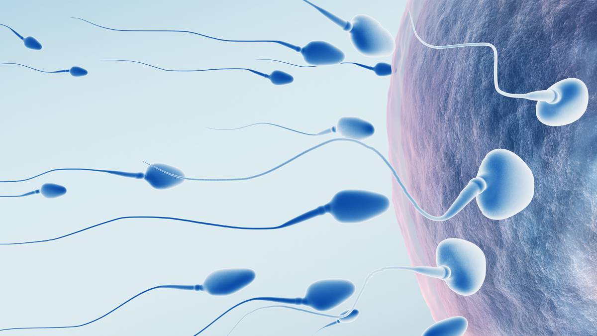 Vaticinan crisis reproductiva en la humanidad ante baja producción de espermatozoides