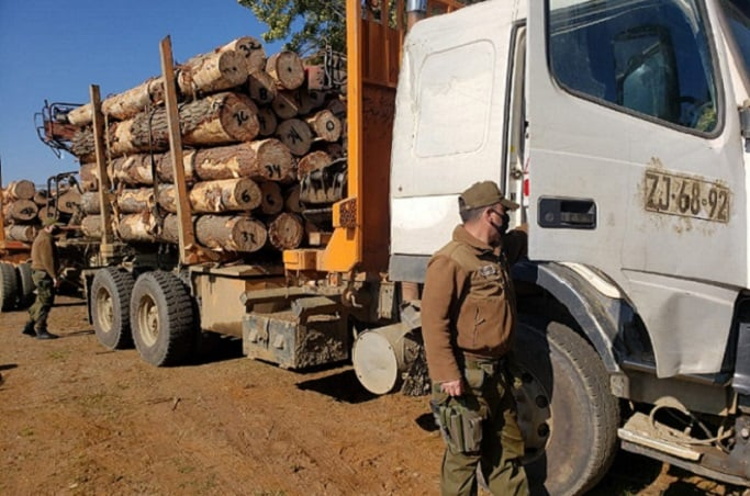 Desarticulan organización criminal dedicada al robo de madera en Bío Bío y La Araucanía: Detenidas 12 personas