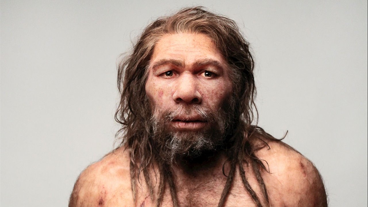 Descubren que neandertales preparaban comidas más elaboradas
