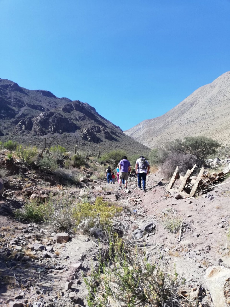 Realizan actividad en quebrada Andacollito para poner en valor ecosistemas xerofíticos de Chile