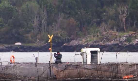 Chiloé: El día en que una profesora mapuche fue intimidada con disparos desde una salmonera | VIDEO