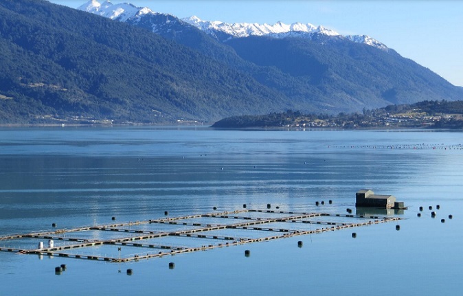 Informe da cuenta de preocupante y masiva ocupación de empresas salmoneras en áreas protegidas