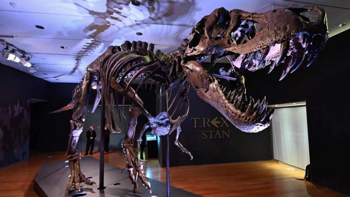 Cancelan subasta de un esqueleto de T-Rex al surgir dudas sobre su origen