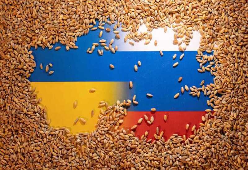 ¿Es <strong>Rusia responsable de una crisis alimentaria mundial?</strong>
