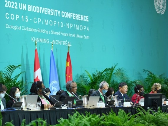 Aborda la ONU plan global sobre biodiversidad