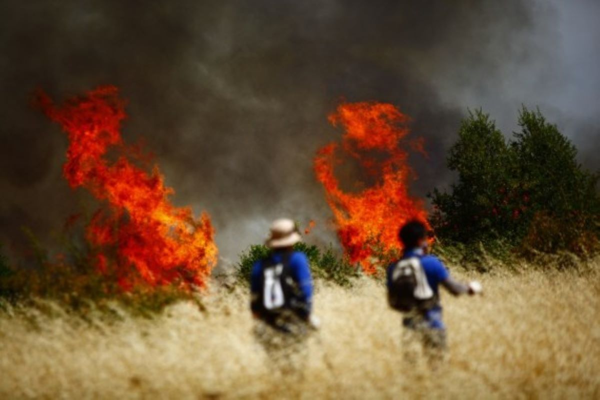 Chile: Incendios forestales consumen 13 mil hectáreas