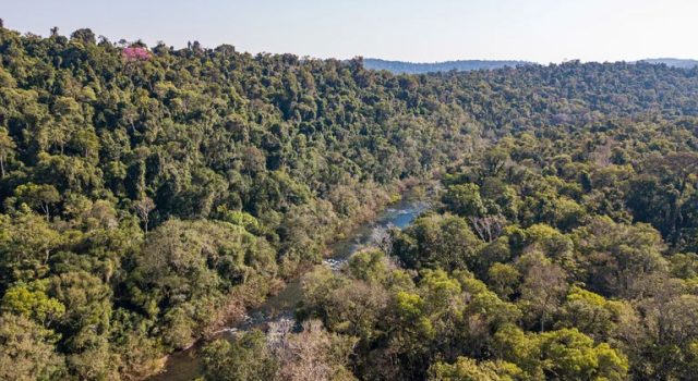 ONU premia los proyectos de rehabilitación de la naturaleza