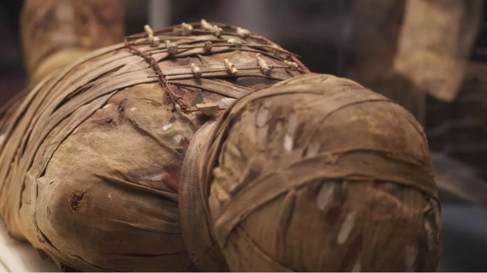 (Fotos) Excavan en Dinamarca una momia del pantano: la que habrían matado en una ceremonia ritual