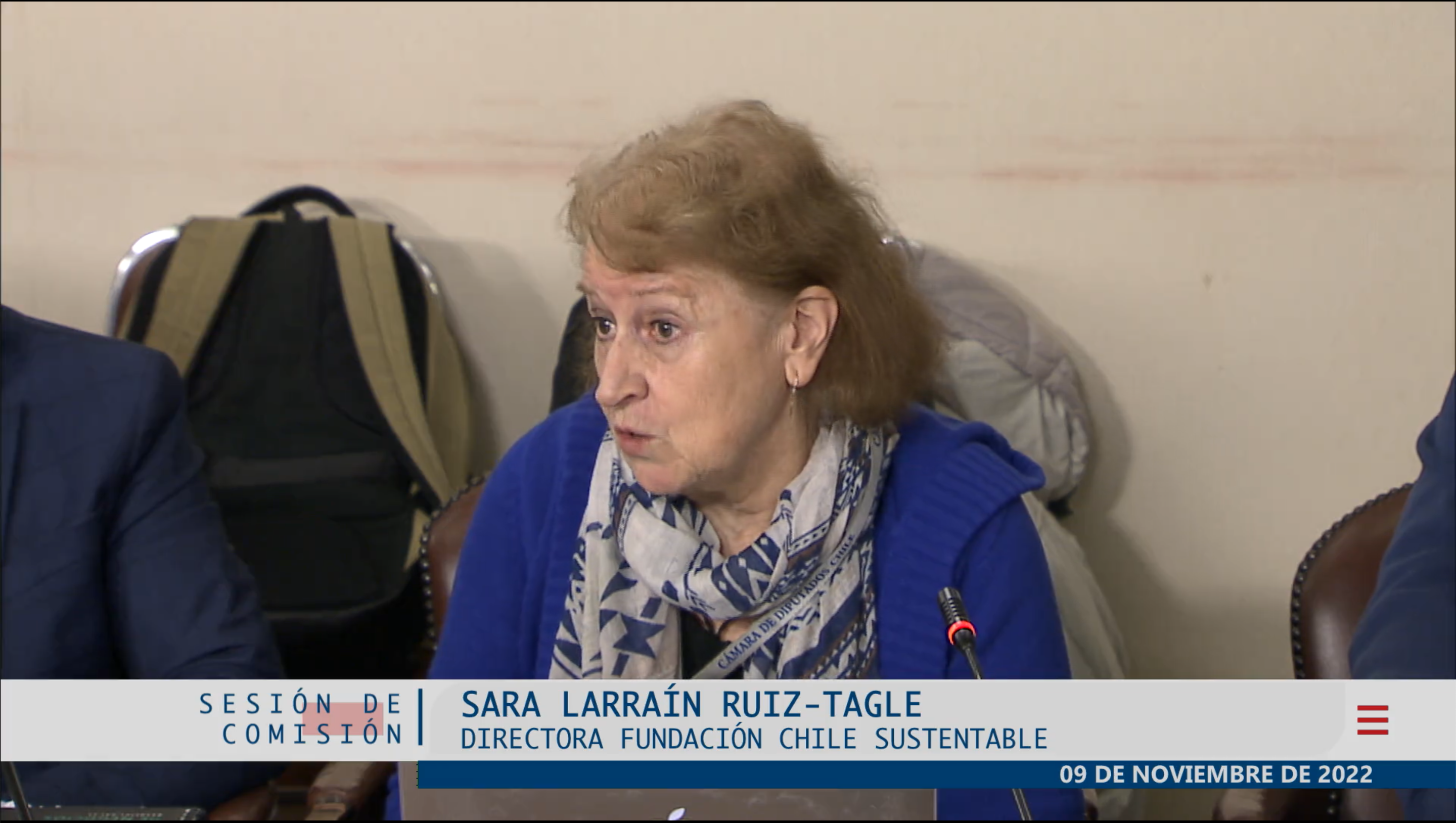 Sara Larraín, directora de Chile Sustentable por proyecto que se tramita en la Cámara: “Un 40% de ERNC al 2030 es una meta excesivamente conservadora”